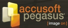 Pegasus ImagXpress Professional